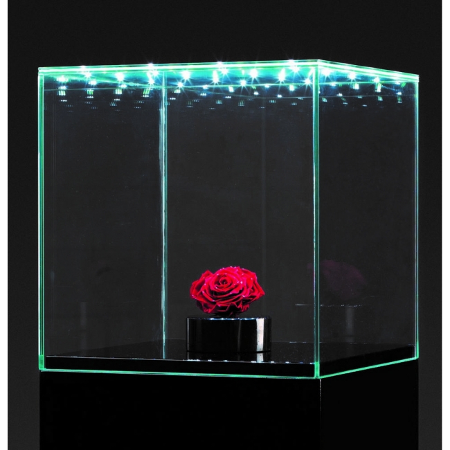 glazen vitrinekap met deur en LED-glas, 45 x 45 x 45 cm (lxbxh), 6mm glas