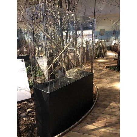Plexiglas vitrinekap | plexiglas stolp | maquettekap op maat Plexiglas vitrinekap | plexiglas stolp | maquettekap op maat