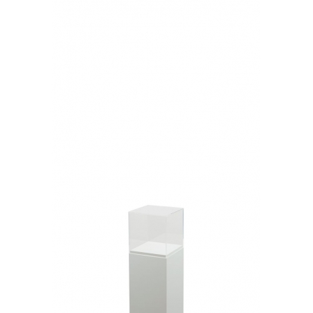 Plexiglas vitrinekap | plexiglas stolp | maquettekap op maat