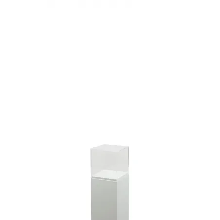 Plexiglas vitrinekap | plexiglas stolp | maquettekap op maat