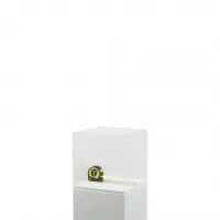 Plexiglas vitrinekap | plexiglas stolp | maquettekap op maat