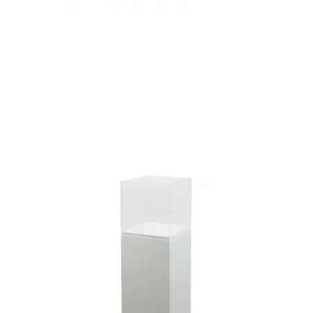 Plexiglas vitrinekap | plexiglas stolp | maquettekap op maat