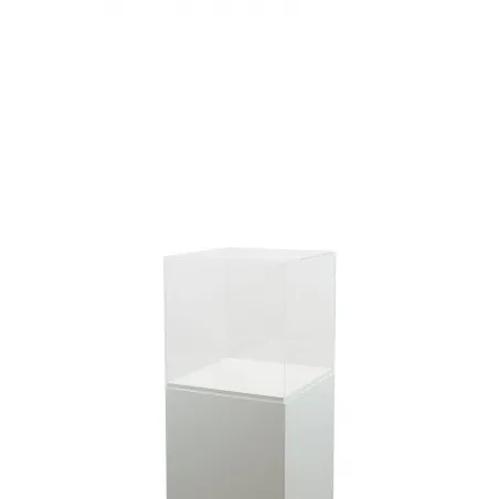 Plexiglas vitrinekap | plexiglas stolp | maquettekap op maat
