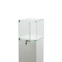 vitrine display deur