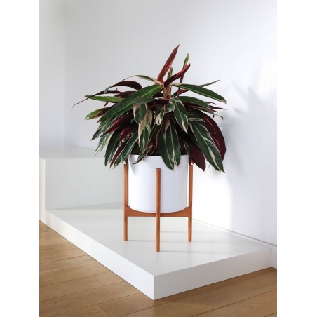 witte sokkels | plantenzuilen | zuilen wit