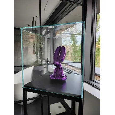 Glazen vitrinekap | glazen stolp voor op sokkel | museumvitrine