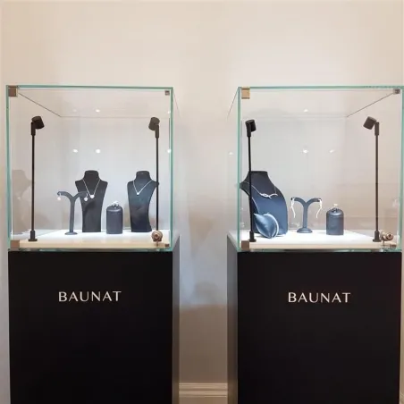vitrine display deur