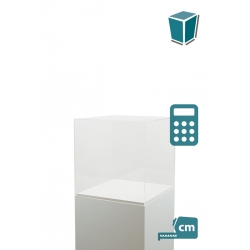 Plexiglas vitrinekap | plexiglas stolp | maquettekap op maat