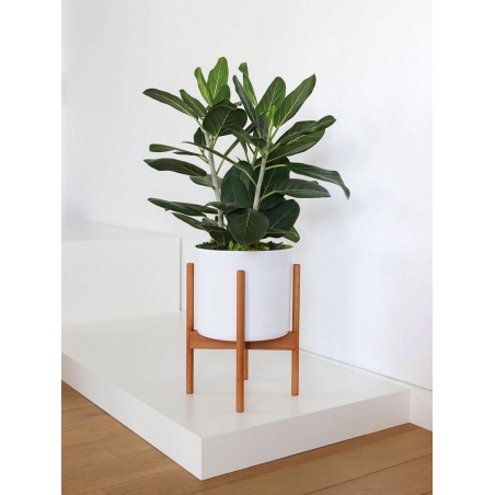 MDF witte sokkels | plantenzuilen | zuilen wit MDF zijdeglans