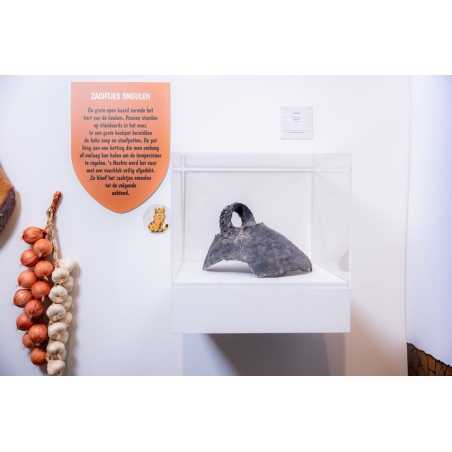Wanddisplay parijs