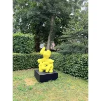 sokkel zwart voor buiten