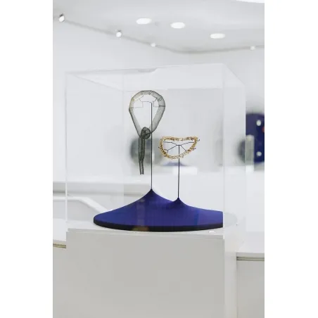 Plexiglas vitrinekap | plexiglas stolp | maquettekap op maat
