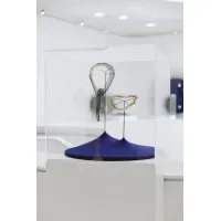 Plexiglas vitrinekap | plexiglas stolp | maquettekap op maat
