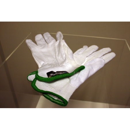 Beschermkap / vitrine handschoenen