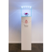 Glazen beschermkap met geintegreerde LED-verlichting 30 x 30 x 30 cm 