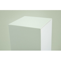 Top 4mm plexiglas wit (max. 50x50cm)