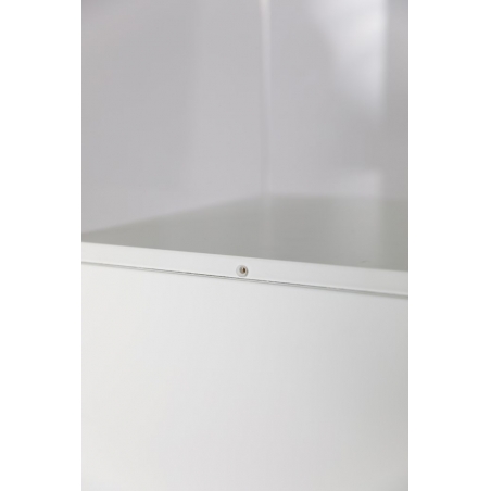 Plexiglas vitrinekap | plexiglas stolp | maquettekap op maat