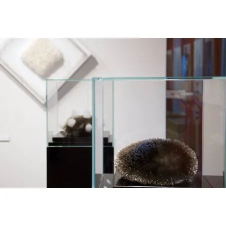 Glazen vitrinekap | glazen stolp voor op sokkel | museumvitrine