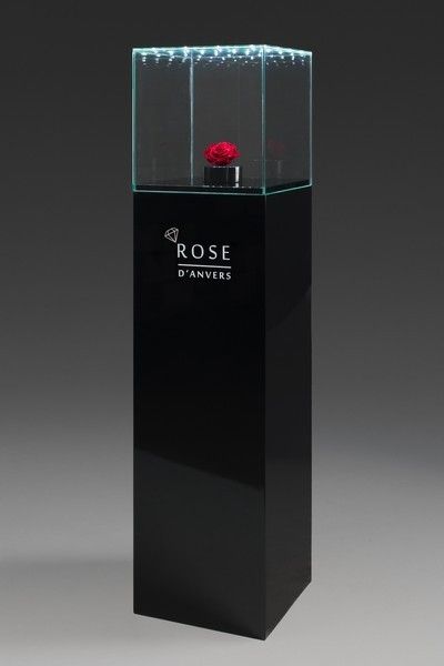 Roos en diamanten fraai uitgelicht door LEDglas